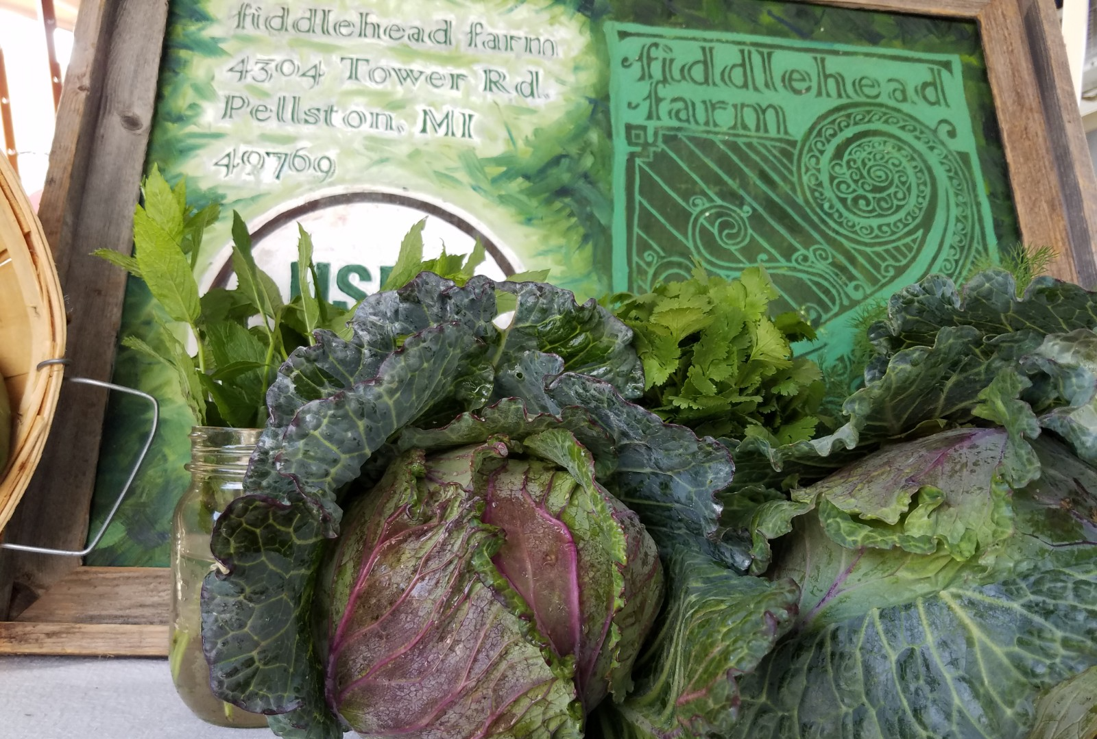 Cabbages and Market Sign